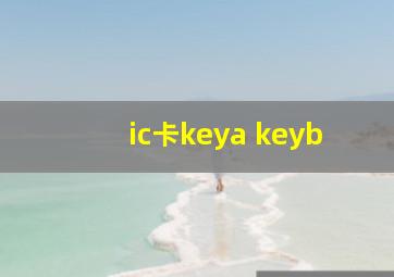 ic卡keya keyb